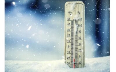 FYB#1 2026 Cancellation